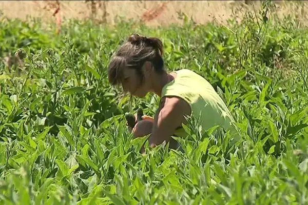 LE JARDIN DE NATALIA